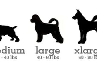 What dog size would best benefit you? What dog size would best benefit you?