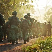 Sorting Helmet (Army) Sorting Helmet (Army)