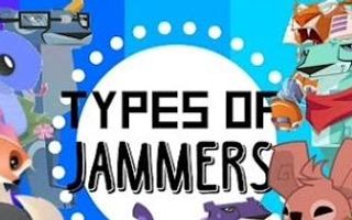 What type of jammer are you? (1) What type of jammer are you? (1)