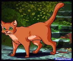 Which of my warrior cats ocs are you? (1) Which of my warrior cats ocs are you? (1)