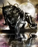 Discover Your Inner Chimera (2) Discover Your Inner Chimera (2)