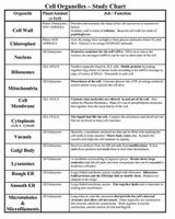 Cell Structure Quiz Cell Structure Quiz
