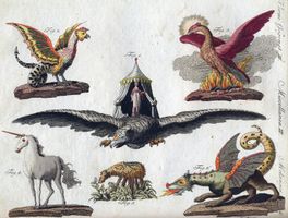 What creature are you? (4) What creature are you? (4)
