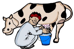 Farm Animals Quiz Farm Animals Quiz