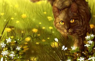 Which one of my Warrior Cat OC's are you? Which one of my Warrior Cat OC's are you?