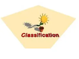 classification of organisms