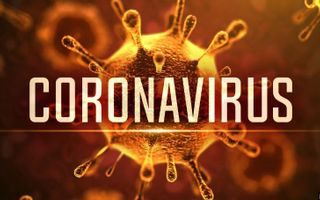How much do you know about the Coronavirus? How much do you know about the Coronavirus?