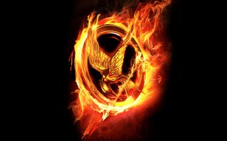 How long will you survive the Hunger Games? How long will you survive the Hunger Games?