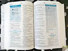 Test Your Knowledge of The Bible
