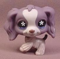 how well do you know you lps how well do you know you lps