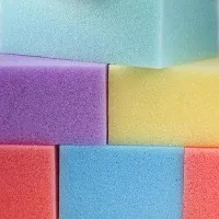 What kind of sponge are you?