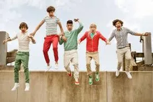 What One Direction Guy is the One for You? What One Direction Guy is the One for You?
