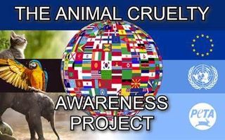Animal Cruelty Personality Quiz Animal Cruelty Personality Quiz