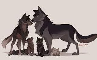 Which Rank are you in a Wolf Pack? Which Rank are you in a Wolf Pack?