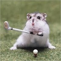 What is your spirit animal? (8) What is your spirit animal? (8)