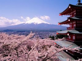 Japan for Starters Japan for Starters