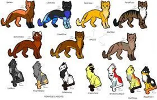 VERY hard thunderclan families. VERY hard thunderclan families.