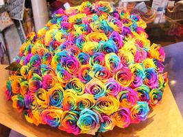 What colour are you? (GIRLS ONLY) What colour are you? (GIRLS ONLY)