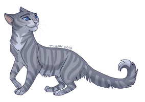 Warrior Cats- What Phropecy Cat are you? Warrior Cats- What Phropecy Cat are you?