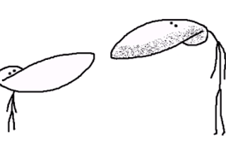 how well do you know gradeAunderA ? how well do you know gradeAunderA ?