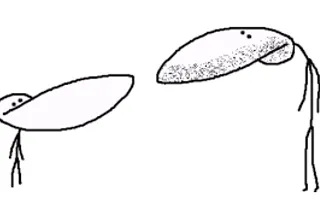 how well do you know gradeAunderA ? how well do you know gradeAunderA ?