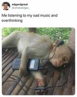 Animal memes 2. Animal memes 2.