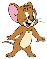 Tom & Jerry Quiz Tom & Jerry Quiz
