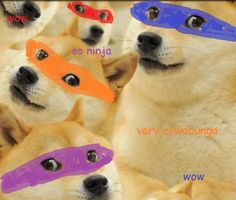 Late Night With ClusterFucks Anniversary Quiz ! Late Night With ClusterFucks Anniversary Quiz !