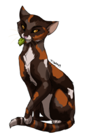 What ThunderClan Medicine Cat Are You? (Warriors) What ThunderClan Medicine Cat Are You? (Warriors)