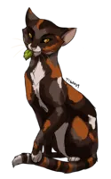 What ThunderClan Medicine Cat Are You? (Warriors) What ThunderClan Medicine Cat Are You? (Warriors)