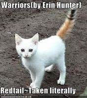 what cat clan are you in?? what cat clan are you in??
