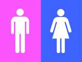 I bet I can guess your gender I bet I can guess your gender