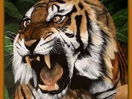 What kind of tiger are you!!!! (1) What kind of tiger are you!!!! (1)