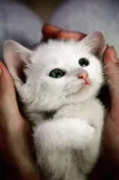 Would we be friends if we knew each other? Would we be friends if we knew each other?