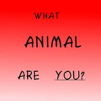 WHAT ANIMAL ARE YOU???