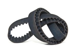 Belt Up! Test Your Knowledge About Belts Belt Up! Test Your Knowledge About Belts