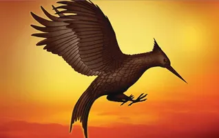 Catching fire Catching fire