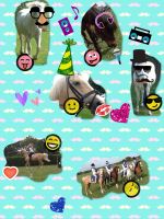 What do you know about horses? What do you know about horses?