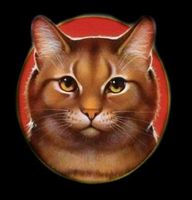 Do you know Lionblaze? Do you know Lionblaze?