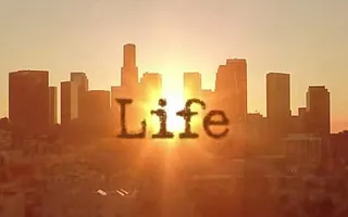 Do you love the life? Do you love the life?