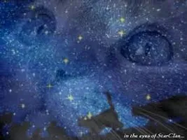What kind of Warrior cat are you? Part 4 What kind of Warrior cat are you? Part 4