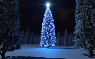 Are you really excited for Christmas? Are you really excited for Christmas?