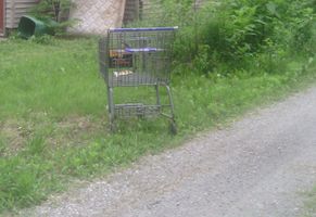 If you were a shopping cart, where would you get left? If you were a shopping cart, where would you get left?