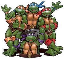 Which NINJA TURTLE are you?? Which NINJA TURTLE are you??