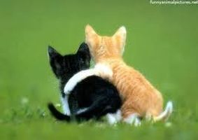 what kind of friend are you? (1) what kind of friend are you? (1)