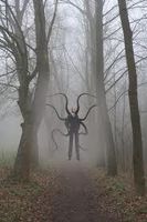 Will Slenderman Kill You If You Were Lost In The Woods At Night? Will Slenderman Kill You If You Were Lost In The Woods At Night?