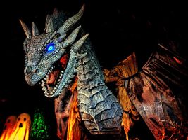 Which Dragon Are You? (3) Which Dragon Are You? (3)