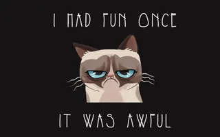 Which Cat?