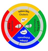 The Four Humors