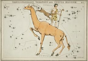 Discover Your Inner Centaur Personality (1) Discover Your Inner Centaur Personality (1)